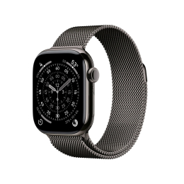 Apple Watch S11 Cell/42/Elegant Band/Slate
