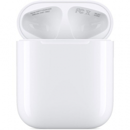 Dobíjecí pouzdro pro Airpods 2019 (A1602) 