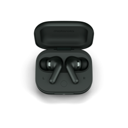 Motorola Buds+ (Sound by BOSE) Forest Grey