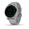 Garmin (010-02172-03) Vivoactive 4S Silver/Grey 